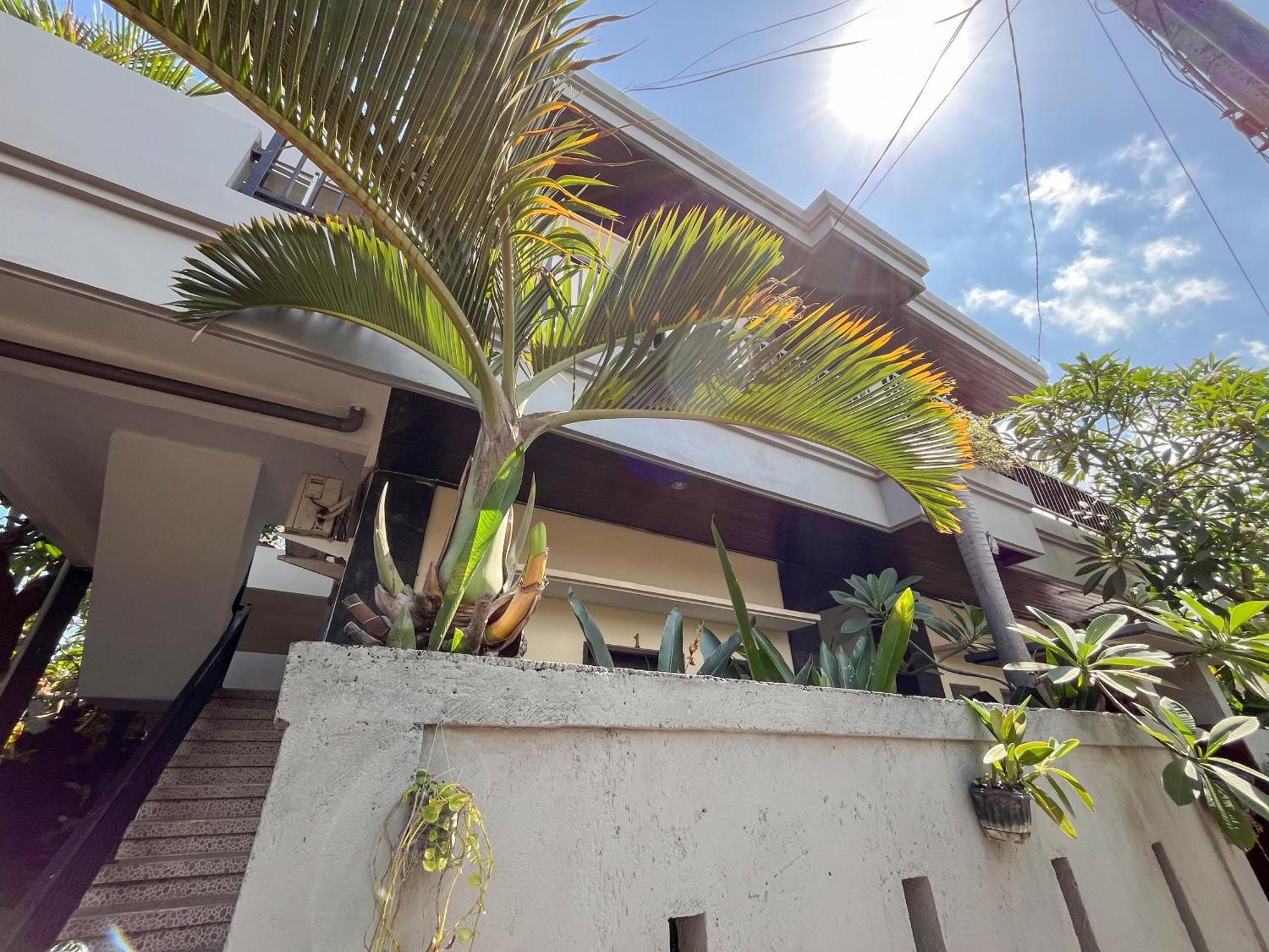 Adi Surya Guest House เซมินยัค ภายนอก รูปภาพ
